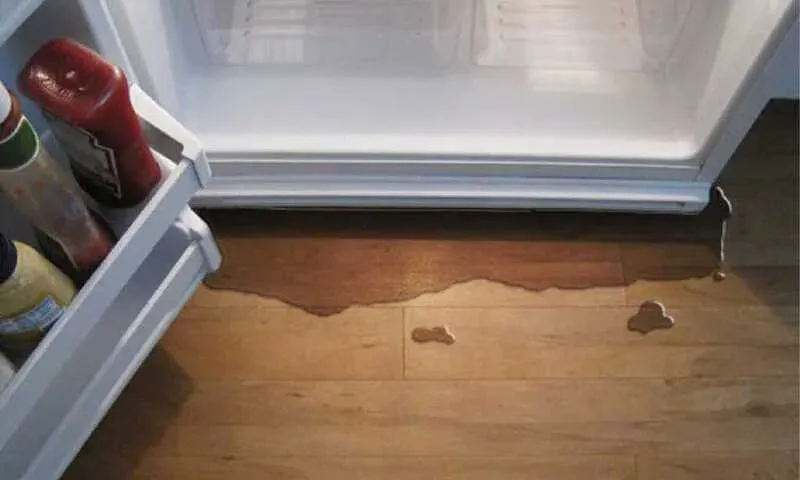 Water pooling on a wood floor in front of an open refrigerator leaking water